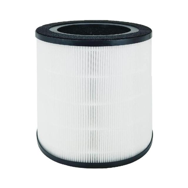 適用 Electrolux 伊萊克斯空氣清淨機的高效 HEPA+活性碳濾網，專為 FA41-403WT、402GY、403PK、403GN、403BL 及 FLOWA4 機型設計。有效過濾 PM2.5、粉塵、花粉及異味，提供潔淨空氣，延長清淨機壽命。南紡家電推薦，輕鬆替換保養您的伊萊克斯空氣清淨機。