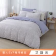 【HongYew 鴻宇】台灣製100%精梳棉 兩用被套 雙人(多款)