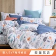 【HongYew 鴻宇】台灣製100%精梳棉 兩用被套 雙人(多款)