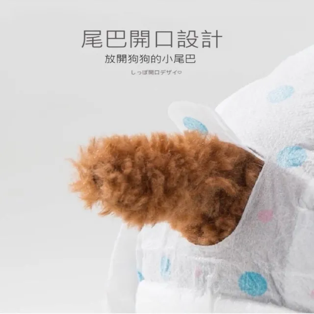 【Pet Universe 多寵宇宙】寵物尿布-M(寵物禮貌帶 狗尿布 狗狗尿布 狗狗禮貌帶 禮貌帶 貓尿布 貓咪尿布)