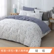 【HongYew 鴻宇】100%精梳棉 兩用被床包枕套組 單人/雙人/加大/特大(多款)