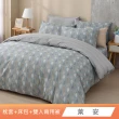 【HongYew 鴻宇】100%精梳棉 兩用被床包枕套組 單人/雙人/加大/特大(多款)