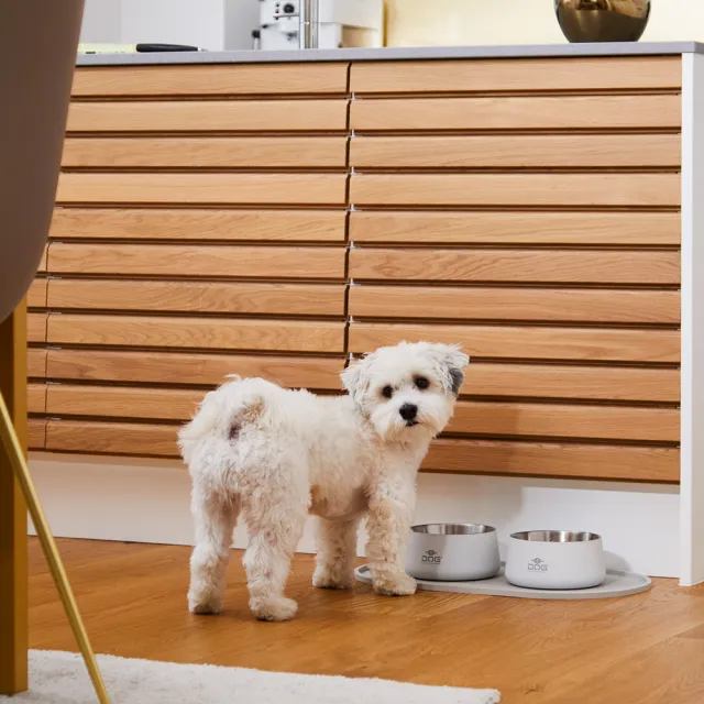 【DOG Copenhagen】丹麥犬Libra 矽膠餐碗墊-小(寵物餐墊 防水防漏抗污 好清洗)
