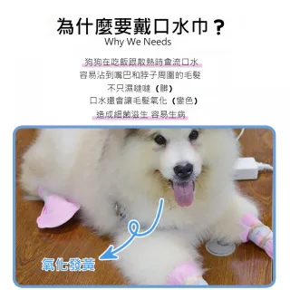 【Pet Universe 多寵宇宙】拋棄式寵物口水巾-M(寵物圍兜兜 貓咪圍兜 寵物圍兜 寵物圍巾 狗狗口水巾)