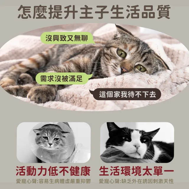 【OUTSY】愛貓五部組可替換伸縮棒 逗貓棒(附可替換玩具)