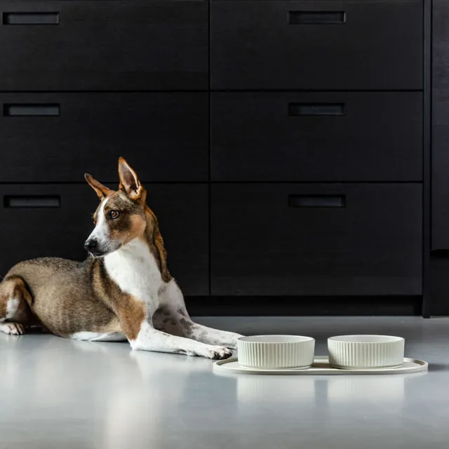 【DOG Copenhagen】丹麥犬Kronborg 炻器陶瓷寵物餐碗-大(歐洲匠心工藝 簡約陶瓷狗碗)