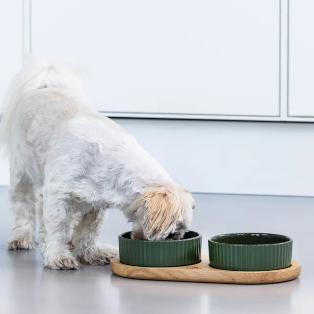 【DOG Copenhagen】丹麥犬Kronborg寵物雙碗餐墊組-中(歐洲匠心工藝 陶瓷狗碗橡木餐墊)