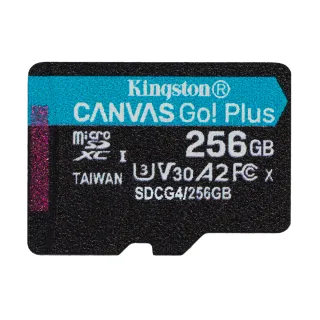 【Kingston 金士頓】Canvas Go Plus microSD 256GB 記憶卡(SDCG4/256GB)