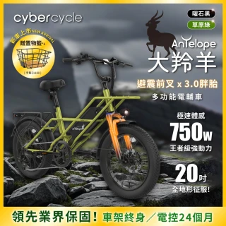 【CyberCycle】Antelope 大羚羊 - 20吋 強動力x前避震 多功能胖胎電輔車(親子車/胖胎車)