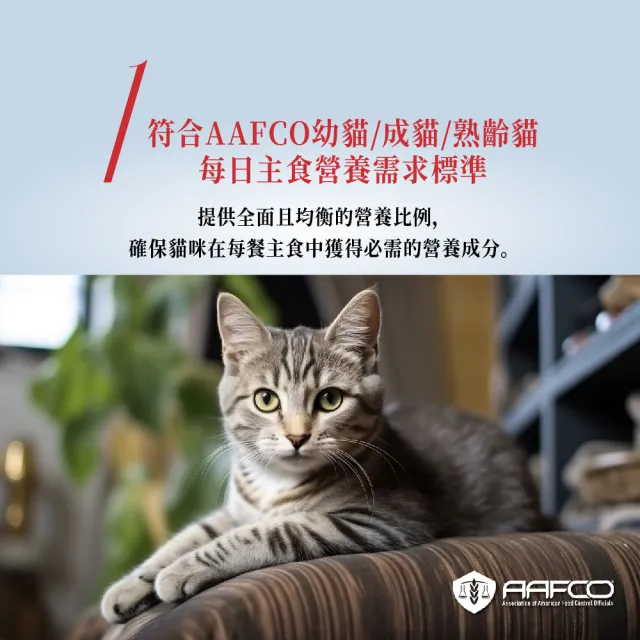 【Natural Kitty 自然小貓】成長系列主食罐-全系列 單罐(成貓 幼母貓 無膠 熟齡貓 全齡貓)