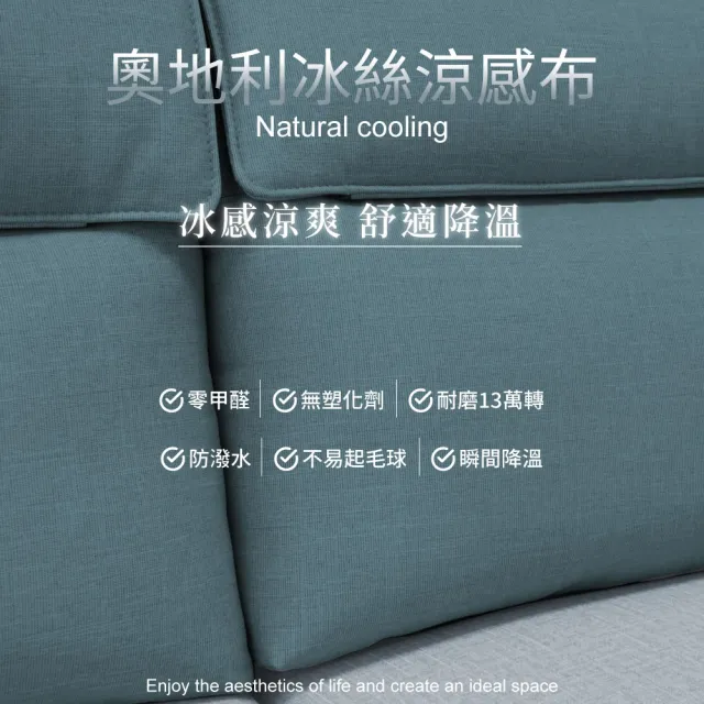 【IHouse】露西 奧地利涼感布+耐磨貓抓皮 2人座(涼感布/貓抓皮)