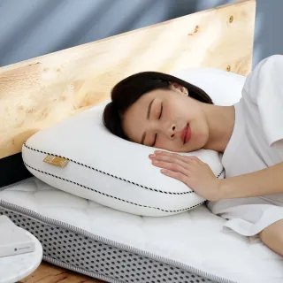 【Darphia 朵法亞】速寄【銀粒子棉眠枕】贈洗衣袋 支撐包覆 抗菌防蟎 透氣枕