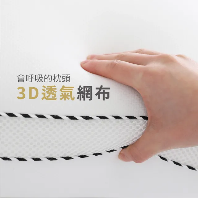 【Darphia 朵法亞】速寄|銀粒子棉眠枕 贈洗衣袋 支撐包覆 抗菌防蟎 透氣枕