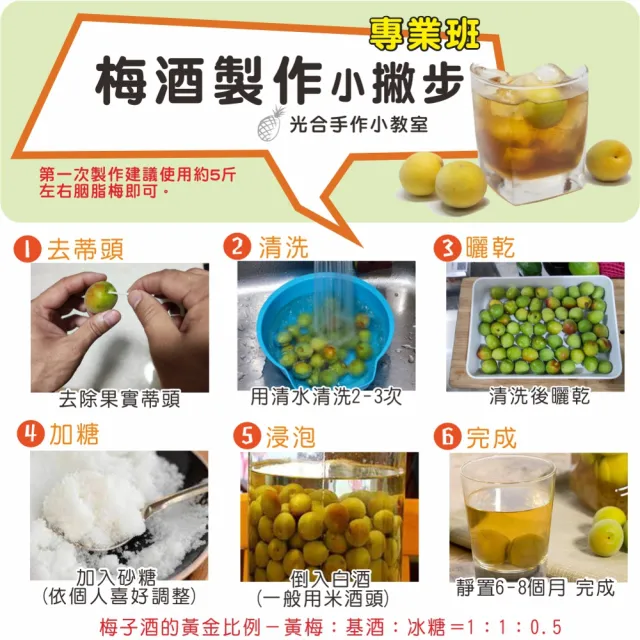 【光合果物】南投老欉胭脂梅 大顆 釀酒專用(5斤±10%/箱)