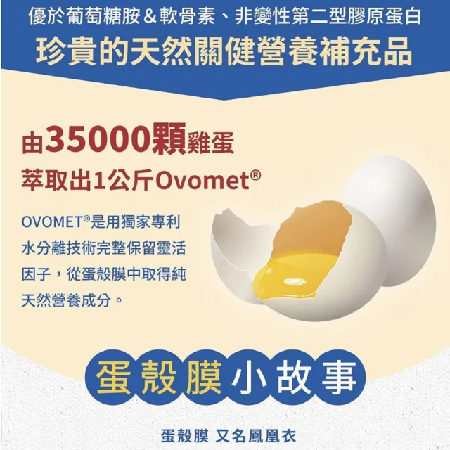 【中化健康生技】力立穩120錠×5盒｜靈活穩健×一錠雙效(獨家專利克弗爾胜肽/蛋殼膜膠原蛋白/蛋奶素)