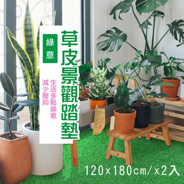 【貝力】仿草皮輕量人工草皮 二入組(120x180cm)