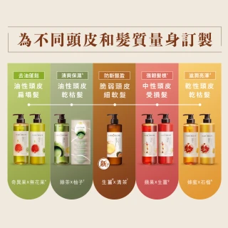【Hair Recipe】1入 洗髮精/護髮潤髮乳530ml (髮的食譜/髮的料理/生薑清茶新上市)