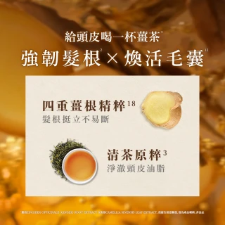 【Hair Recipe】2入組 洗髮精/護髮潤髮乳530ml (髮的食譜/髮的料理/生薑清茶新上市)