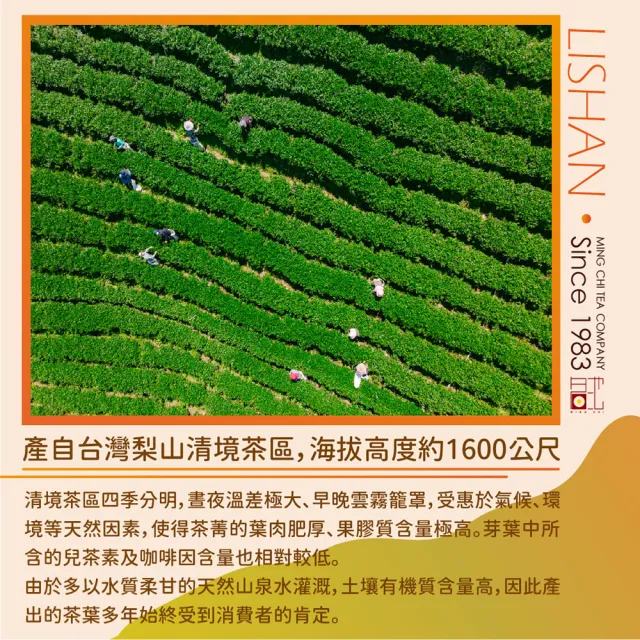 【名池茶業】絕品手捻果甜梨山品級高冷茶葉(75gx8)