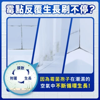 【風倍清】浴廁用防霉防臭劑/芳香劑4入組(2入裝X2-柔和花香/清新柑橘 任選)