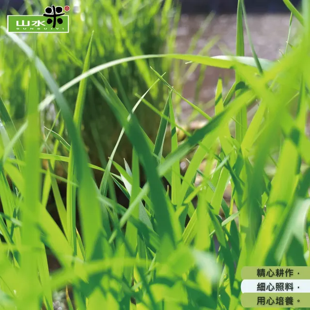 【鴨間稻】有機越光白米3Kg