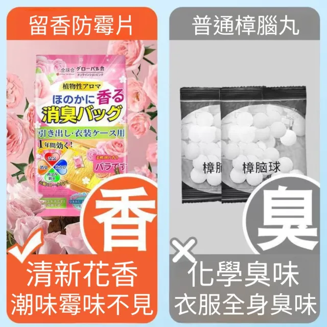 日本樟腦丸-5入組(芳香 防蟲 樟腦丸 防蟲丸)
