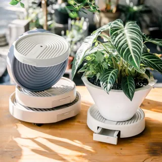 時代水盤 花盆 花器 盆器 塑膠水盤,花盆器皿,花束園藝,修繕園藝- momo購物網- 好評推薦-2025年11月