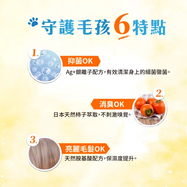 【Petto貝多芬】寵物清潔濕巾(10抽x72包/箱)