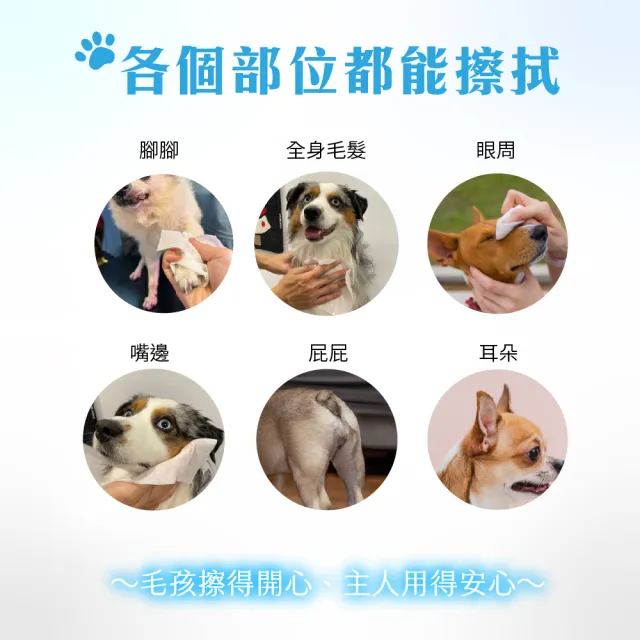 【Petto貝多芬】寵物清潔濕巾(10抽x72包/箱)