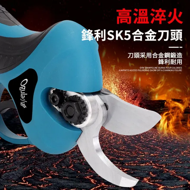 【Ogula 小倉】電動剪刀 高枝剪 無刷豪華款（五節一電）送豪華配件(電剪/無刷修枝剪)