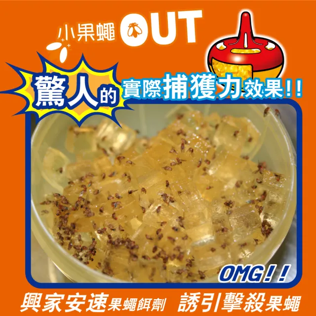 【興家安速】除蟲超值組(果蠅餌劑38g+蟑螂餌劑2gx12入)