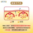 【賢者之食桌】纖維粉末包 3盒組(30包/盒-膳食纖維 2項健康食品標章 調節血糖血脂 日本原裝進口)