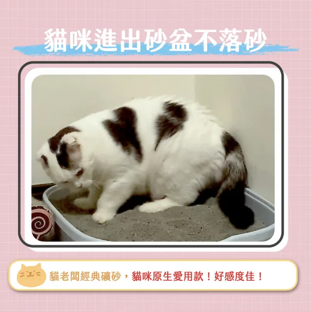 【貓老闆Bosscat】經典公寓砂 4包入(礦砂、無塵貓砂、無香精礦砂)