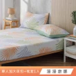 【HongYew 鴻宇】台灣製100%精梳棉 床包枕套組 單人(多款)