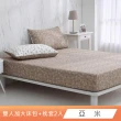 【HongYew 鴻宇】台灣製100%精梳棉 床包枕套組 加大(多款)