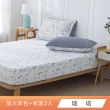 【HongYew 鴻宇】台灣製100%精梳棉 床包枕套組 加大(多款)