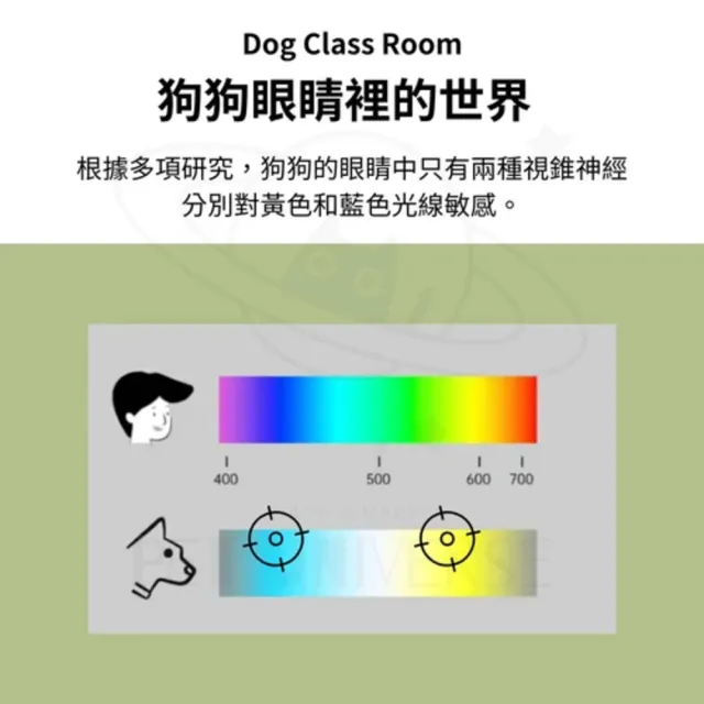 【Pet Universe 多寵宇宙】寵物尿布墊-加厚(寵物尿墊 寵物尿布 尿布墊寵物 狗尿布墊 狗狗尿墊 狗狗尿布墊)