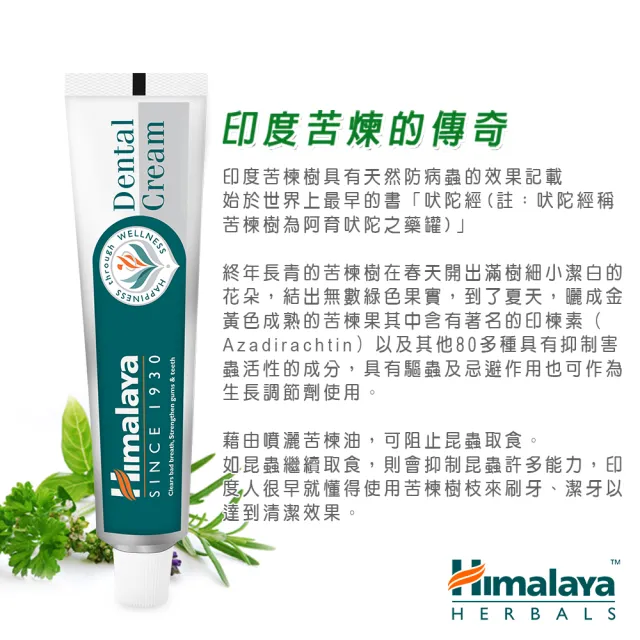 【Himalaya 喜馬拉雅】原廠草本牙膏100gX6入(草本/護齦配方)