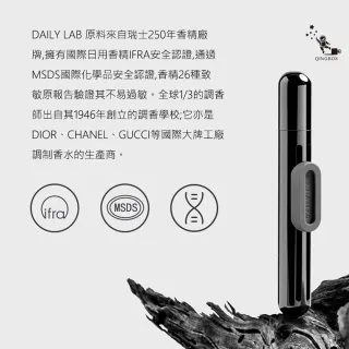【Daily Lab】小金條系列特斯拉車載香氛DLCX3014(適配Tesla Model 3 或 Model Y 雙支套裝組)