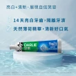 【DARLIE 好來】全亮白基本款牙膏140gX8入(清新薄荷/青檸薄荷)