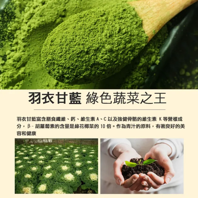 【盛花園】日本九州原裝羽衣甘藍菜青汁(20入組X2盒)