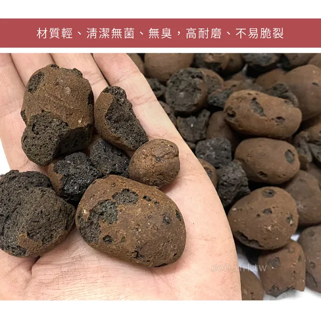 【天然介質】大包發泡煉石 特大粒 6號15-35mm(陶粒 水耕 礫耕 鋪面石 砵底石 瘋狂植物社)