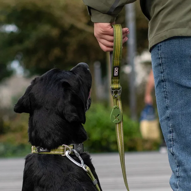 【DOG Copenhagen】丹麥犬Urban Style 輕便風寵物項圈(多色可選)