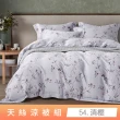 【貝兒居家寢飾生活館】頂級涼感60支天絲涼被(棉被/四季被/TENCEL/多款任選) 涼被/冷氣毯