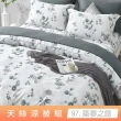 【貝兒居家寢飾生活館】頂級涼感60支天絲涼被(棉被/四季被/TENCEL/多款任選) 涼被/冷氣毯