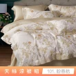 【貝兒居家寢飾生活館】頂級涼感60支天絲涼被(棉被/四季被/TENCEL/多款任選) 涼被/冷氣毯