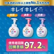 【LION 獅王】趣淨抗菌洗手慕斯 清爽柑橘/清新果香/淡雅花香(250ml)