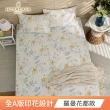 【HOYACASA  禾雅寢具】台灣製-100%萊賽爾天絲床包枕套-多款任選(雙人/加大 速達)