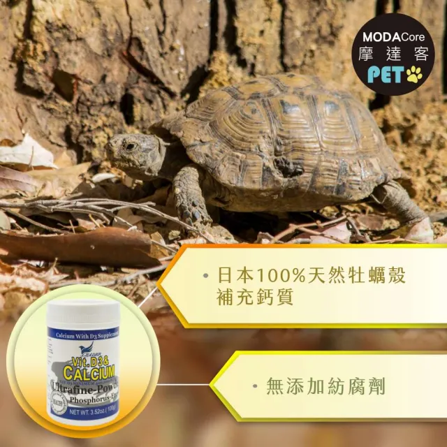 【摩達客】領袖LEADER 爬蟲專用鈣粉 含D3 3.52oz  鈣質補充 兩棲爬蟲適用(陸龜 烏龜 守宮 蜥蜴)