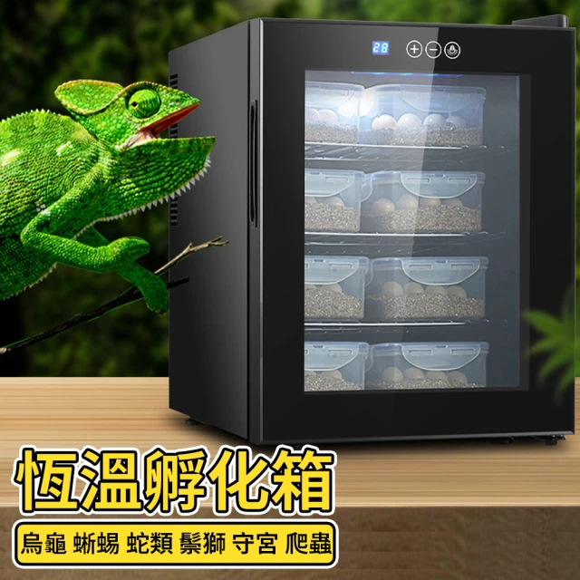 【寧樂】爬寵恒溫箱 孵蛋器 孵化機 孵蛋機 烏龜蜥蜴蛇蛋孵化器 守宮恒溫孵化櫃飼養箱(110V)